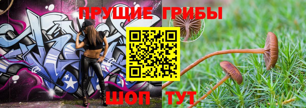 Галлюциногенные грибы прущие грибы  Вход с VPN  Усть-Джегута 
