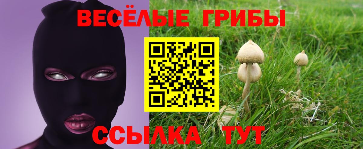 Псилоцибиновые грибы ЛСД Усть-Джегута